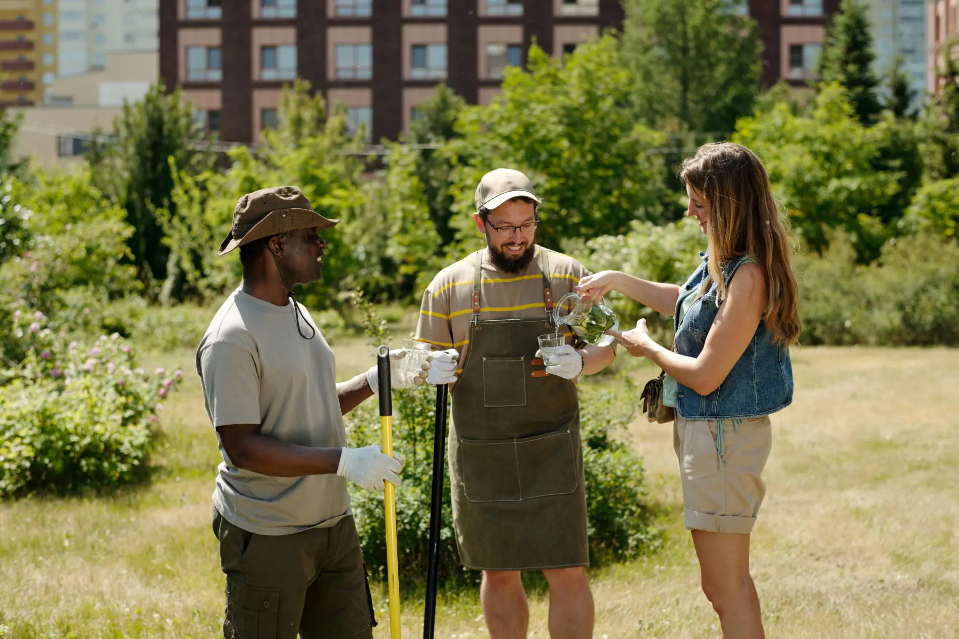 Initial landscaping consultation and planning