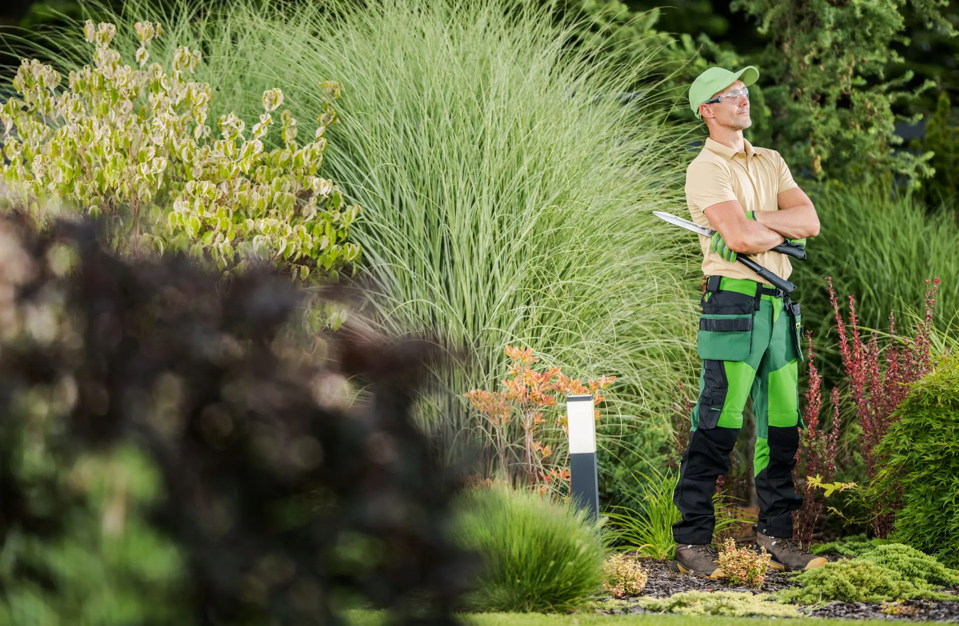 Completed landscaping project and maintenance guidance